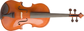 StudentViola_020806