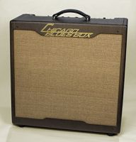 Buddy-guy-amp