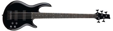 Carvin_ic5s