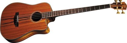 Fender Victor Bailey 5-String Acoustic/Electric Bass