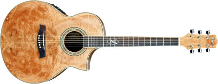Summer NAMM 07: Ibanez Exotic Wood Acoustic Instruments