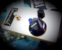 Love Pedal Morph
