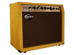 Masters TVA30 30W Guitar Amp