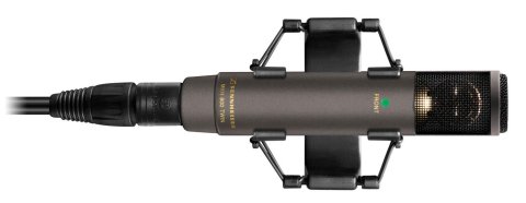 Sennheiser MKH 800 Twin Mic